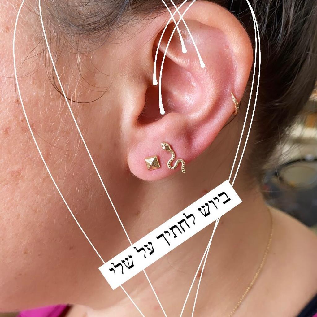 SNAKE Earring - Lirmizrahi